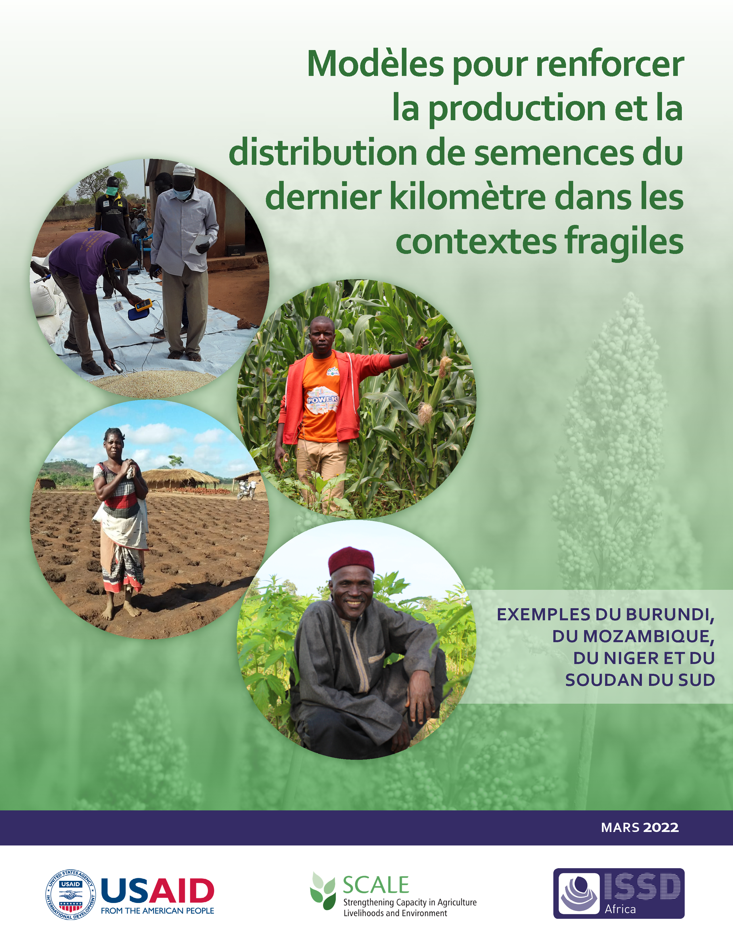 Page de couverture de Modèles pour renforcer la production et la distribution de semences du dernier kilomètre dans les contextes fragiles