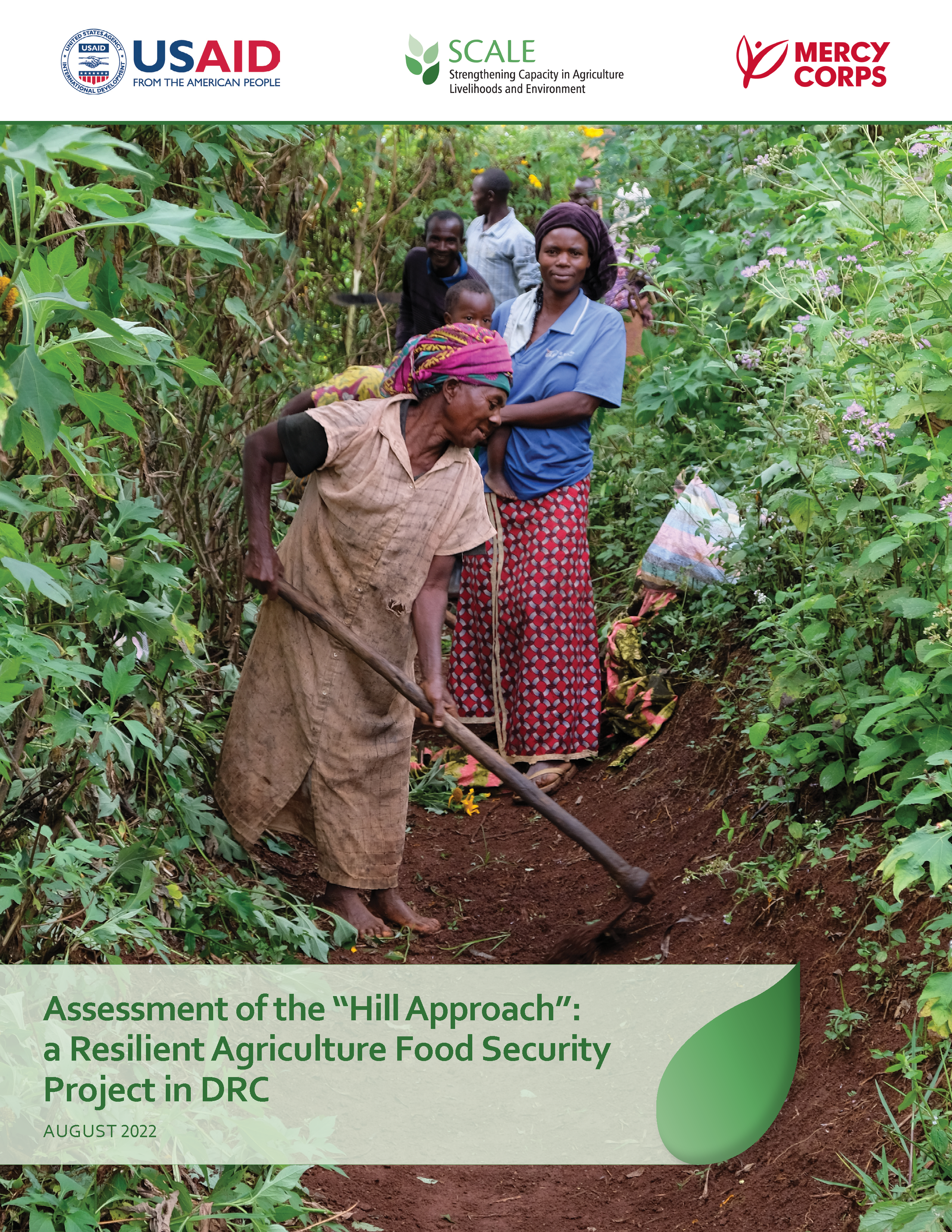 Front cover of Assessment of the Hill Approach report
