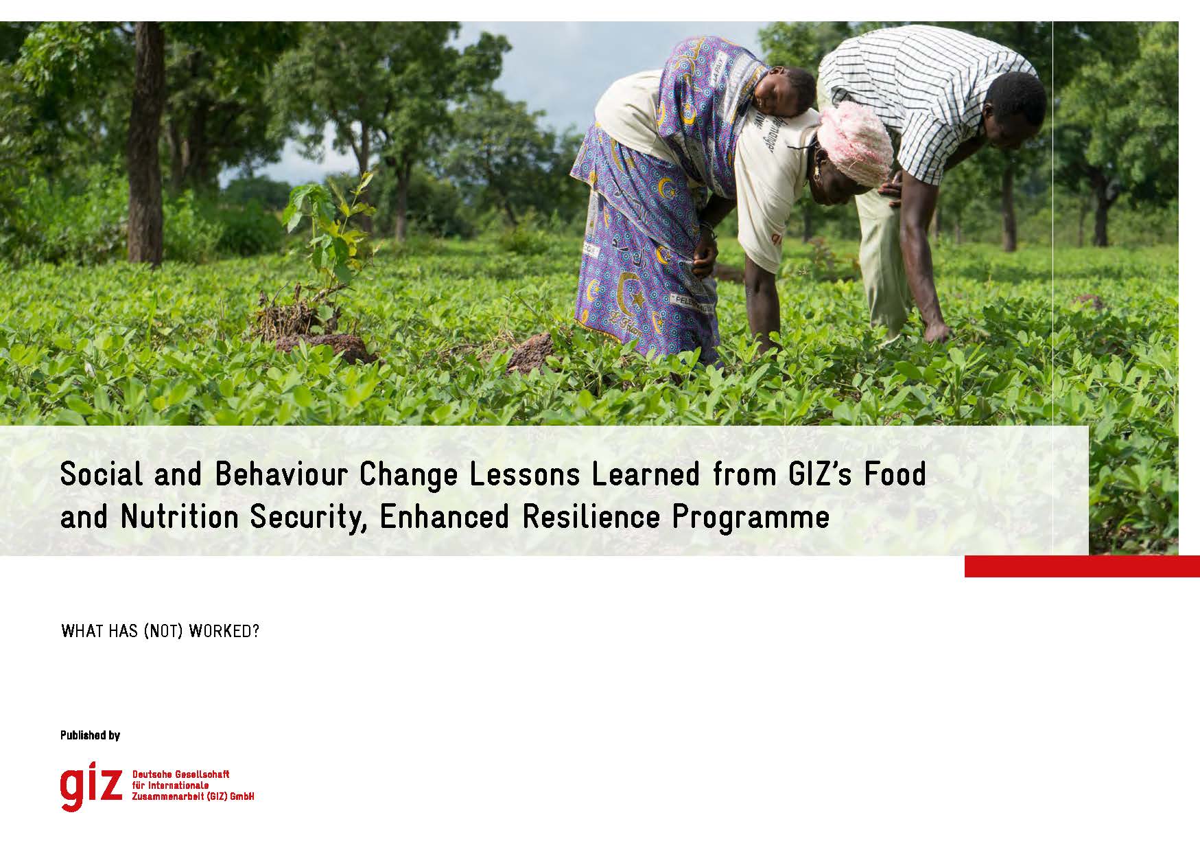 Cover page for Social and Behaviour Change Lessons Learned from GIZ’s Food and Nutrition Security, Enhanced Resilience Programme