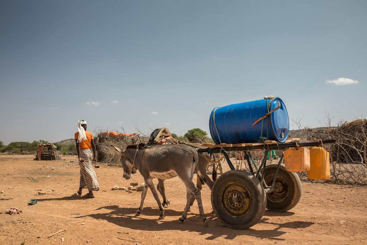 A person leads two donkeys pulling a cart with a blue water tank on it.
