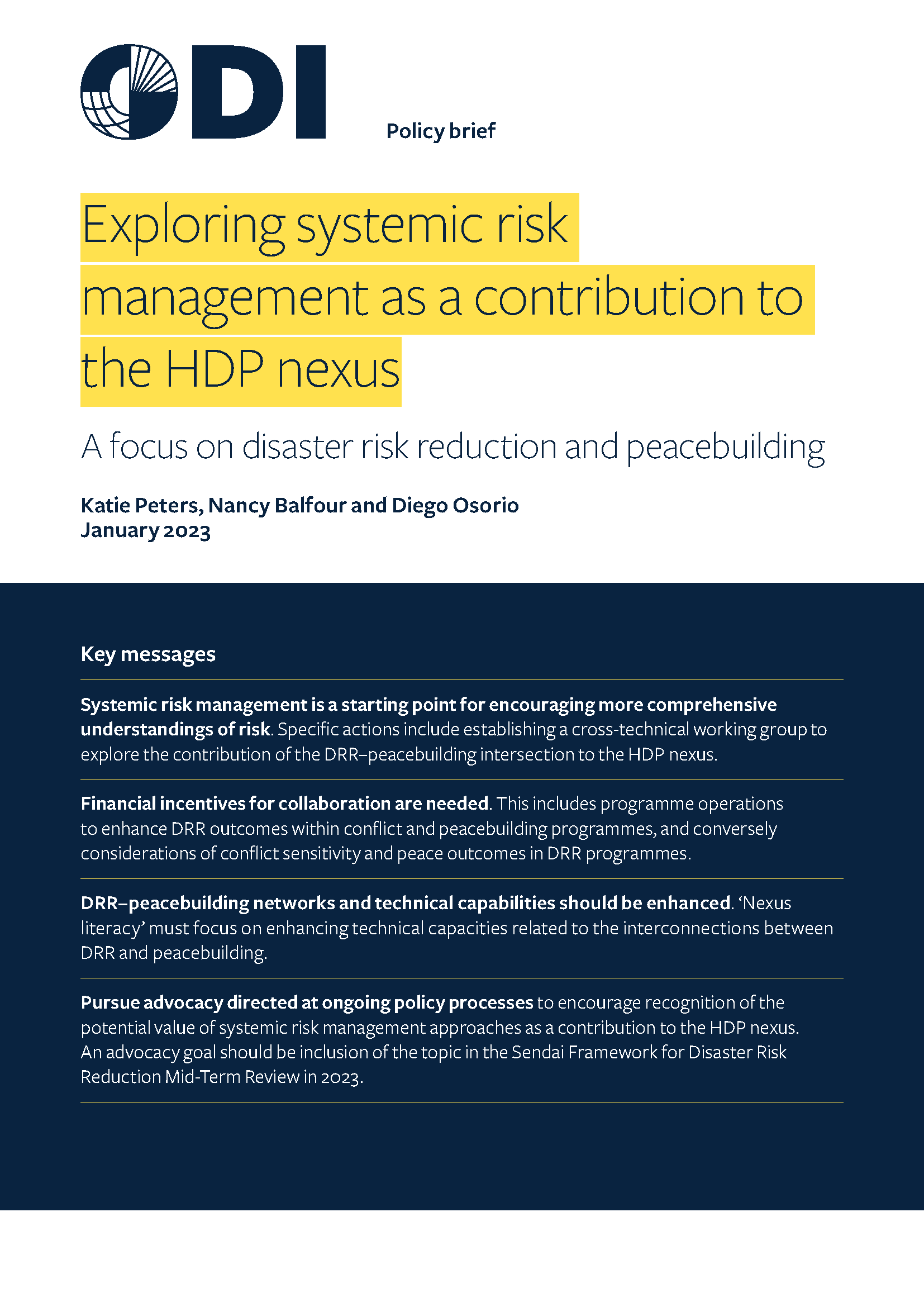 Cover page for Exploring Systemic Risk Management as a Contribution to the HDP Nexus