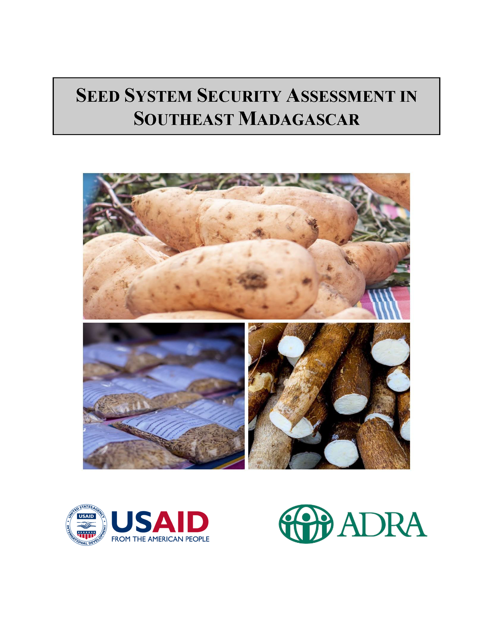 Cover page for Seed System Security Assessment in Southeast Madagascar