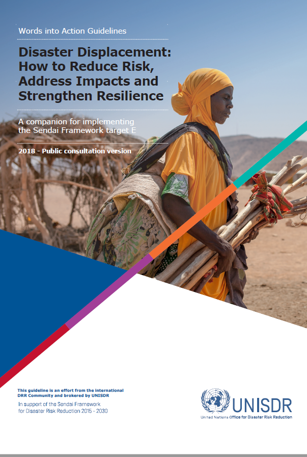 Download Resource: Disaster Displacement: How to Reduce Risk, Address Impacts and Strengthen Resilience