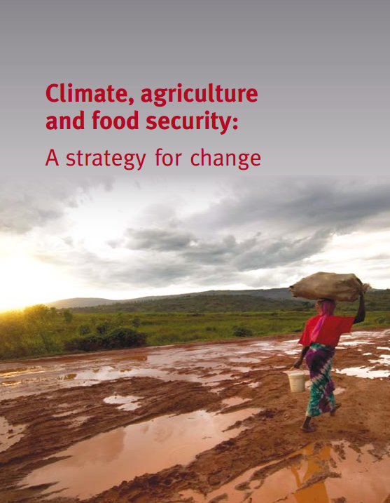 Download Resource: Climate, Agriculture and Food Security: A Strategy for Change