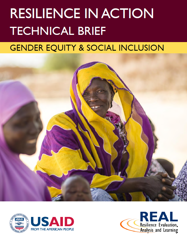 Download Resource: Resilience in Action Series: Gender Equity & Social Inclusion