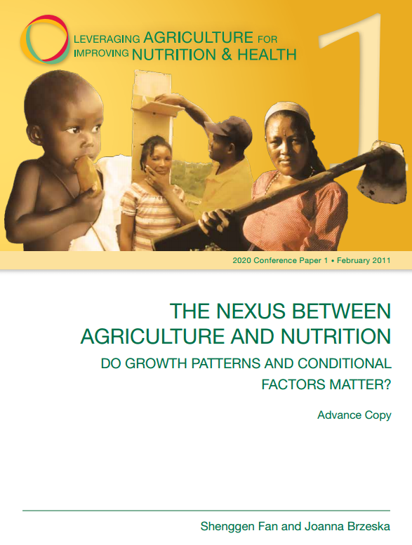 Download Resource: Leveraging Agriculture for Improving Nutrition and Health Conference Briefs