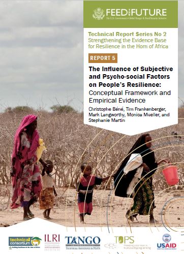 Download Resource: The Influence of Subjective and Psycho-social Factors on People's Resilience: Conceptual Framework and Empirical Evidence