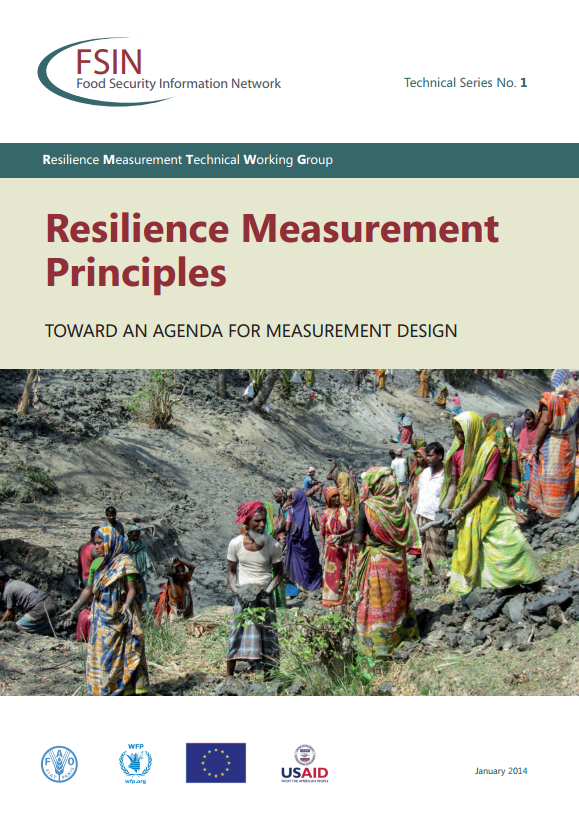Download Resource: Resilience Measurement Principles toward an Agenda for Measurement Design