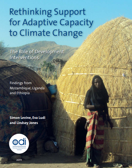 Download Resource: Rethinking Support for Adaptive Capacity to Climate Change: The Role of Development Interventions 