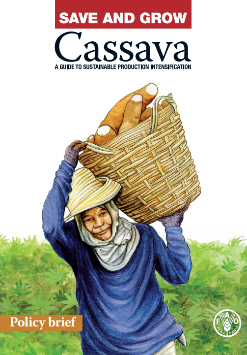 Download Resource: Save and Grow: Cassava: A Guide to Sustainable Production Intensification