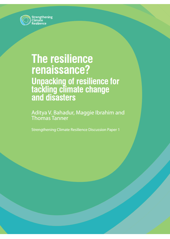 Download Resource: The Resilience Renaissance? Unpacking of Resilience for Tackling Climate Change and Disasters