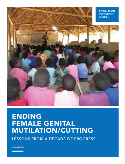 Download Resource: Ending Female Genital Mutilation/Cutting: Lessons from a Decade of Progress