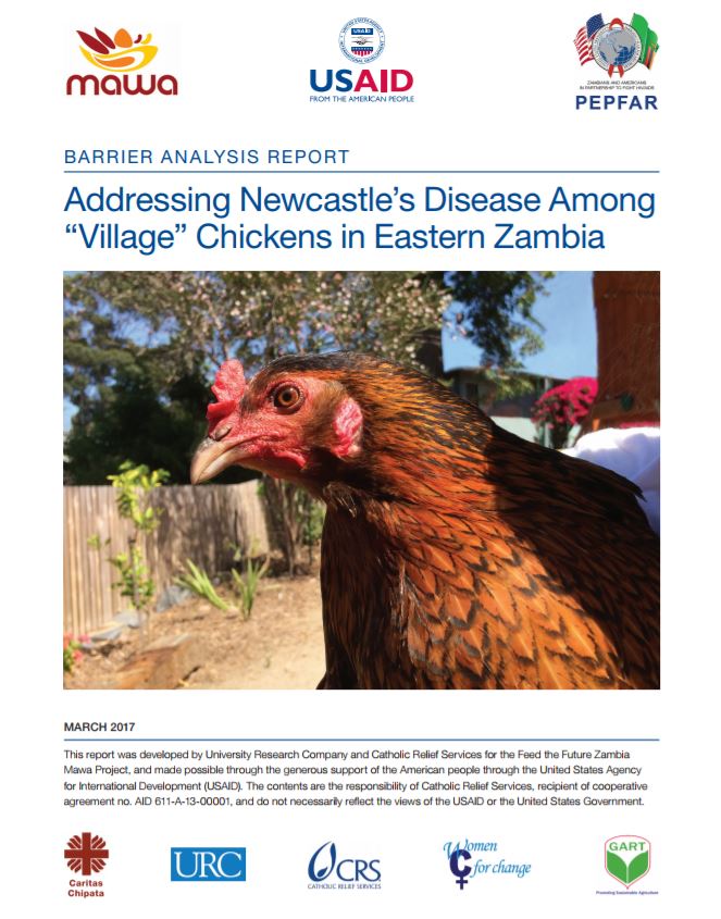 Download Resource: Addressing Newcastle’s Disease among “Village” Chickens in Eastern Zambia
