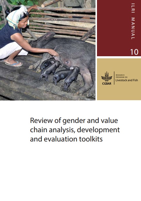 Download Resource: Review of Gender and Value Chain Analysis, Development and Evaluation Toolkits