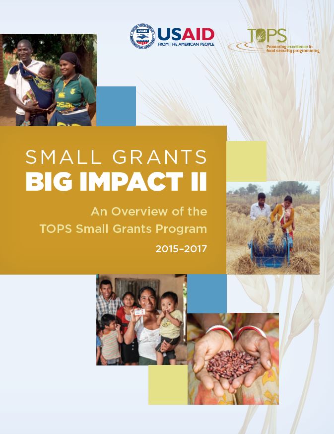 Download Resource: Small Grants Big Impact II: An Overview of the Small Grants Program, 2015-2017