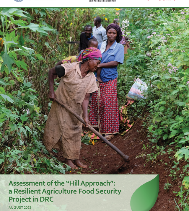 Front cover of Assessment of the Hill Approach report