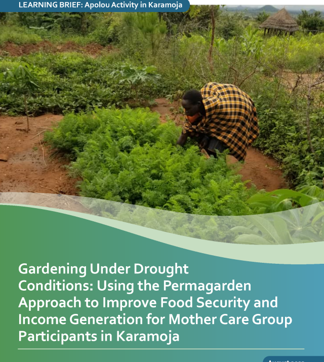 Cover Page of Gardening Under Drought Conditions: Using the Permagarden Approach to Improve Food Security and Income Generation for Mother Care Group Participants in Karamoja