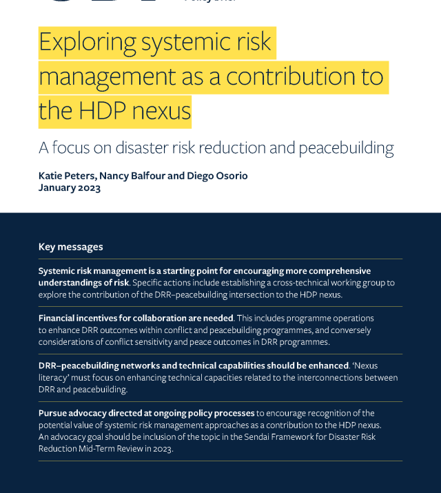 Cover page for Exploring Systemic Risk Management as a Contribution to the HDP Nexus