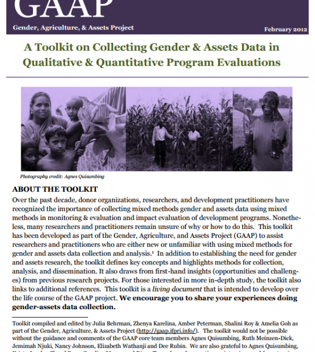 Download Resource: A Toolkit on Collecting Gender and Assets Data in Qualitative and Quantitative Program Evaluations