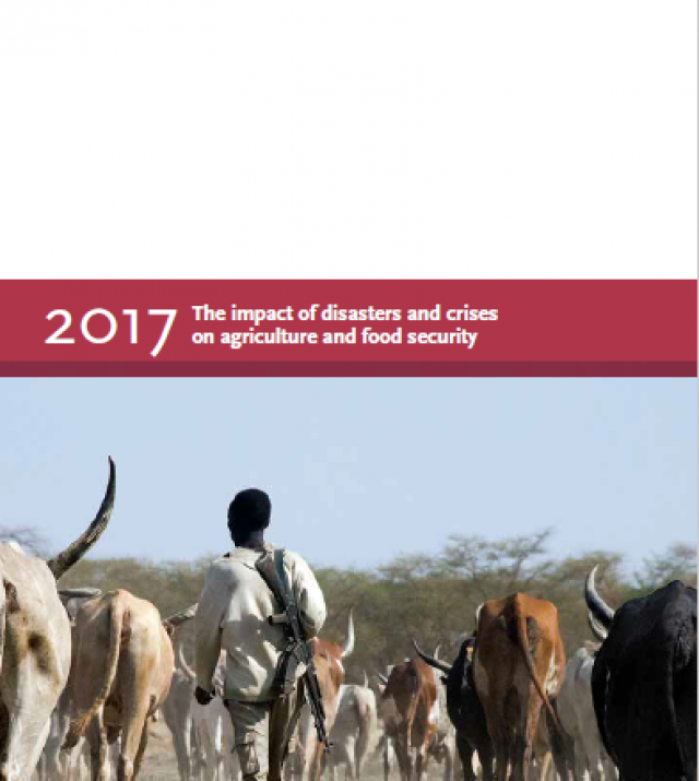 Download Resource: The Impact of Disasters and Crises on Agriculture and Food Security 2017