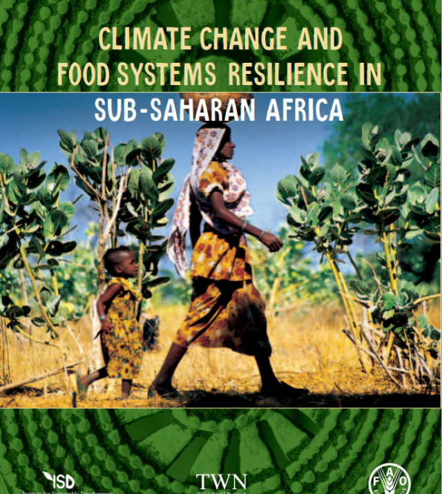 Download Resource: Climate Change and Food Systems Resilience in Sub-Saharan Africa
