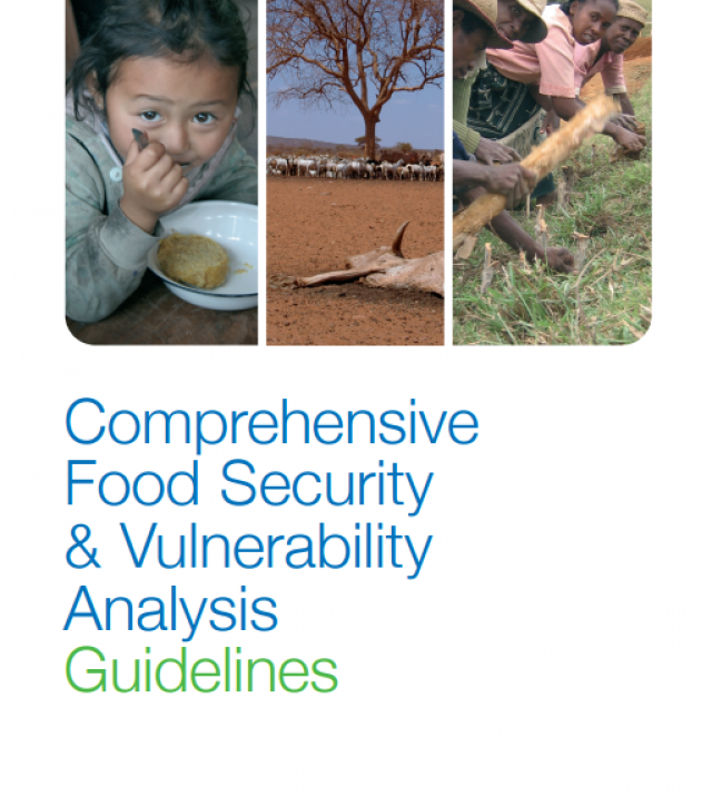 Download Resource: Comprehensive Food Security & Vulnerability Analysis (CFSVA) Guidelines - First Edition, 2009
