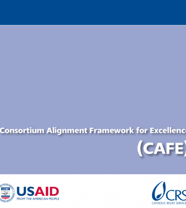 Download Resource: Consortium Alignment Framework for Excellence (CAFE) Manual
