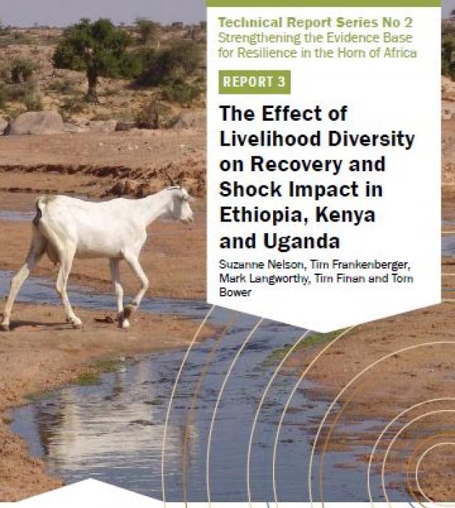 Download Resource: The Effect of Livelihood Diversity on Recovery and Shock Impact in Ethiopia, Kenya and Uganda