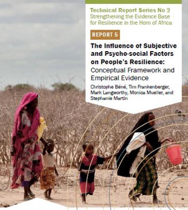 Download Resource: The Influence of Subjective and Psycho-social Factors on People's Resilience: Conceptual Framework and Empirical Evidence