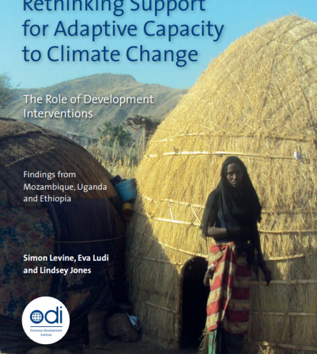 Download Resource: Rethinking Support for Adaptive Capacity to Climate Change: The Role of Development Interventions 