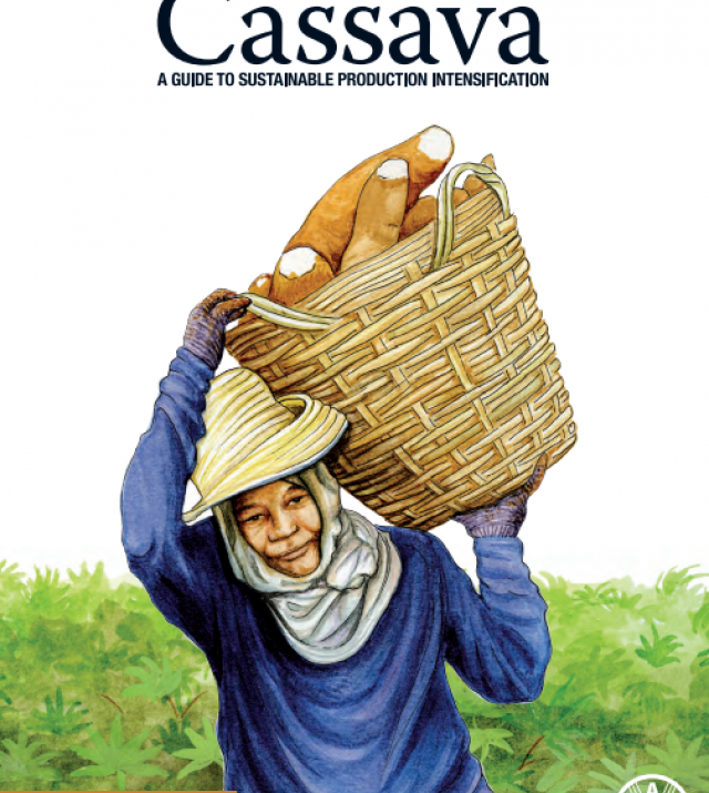Download Resource: Save and Grow: Cassava: A Guide to Sustainable Production Intensification