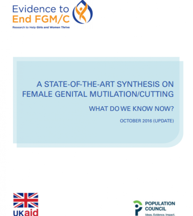 Download Resource: A State-of-the-Art Synthesis on Female Genital Mutilation/Cutting: What do we know now?