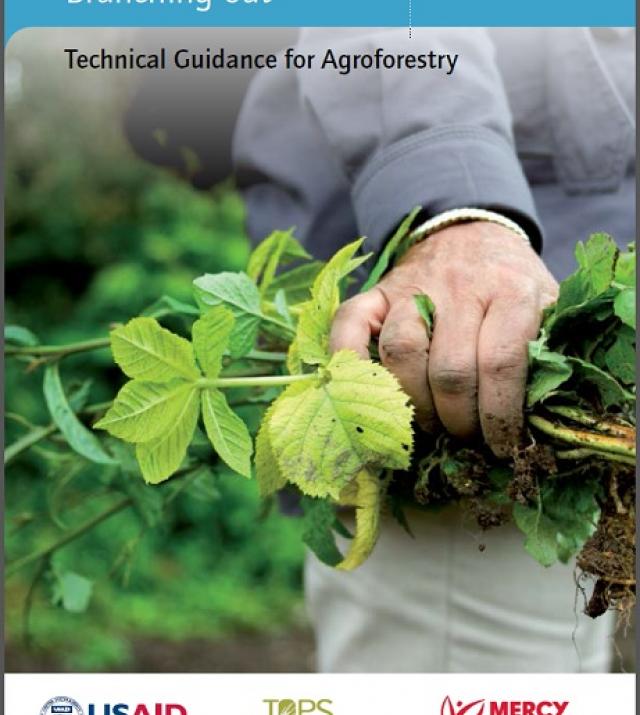 Download Resource: Branching Out: Technical Guidance for Agroforestry