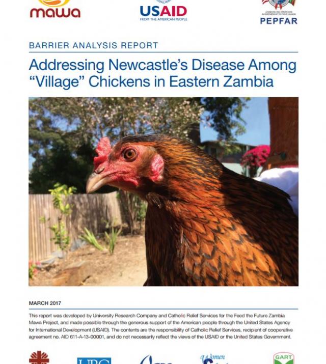 Download Resource: Addressing Newcastle’s Disease among “Village” Chickens in Eastern Zambia
