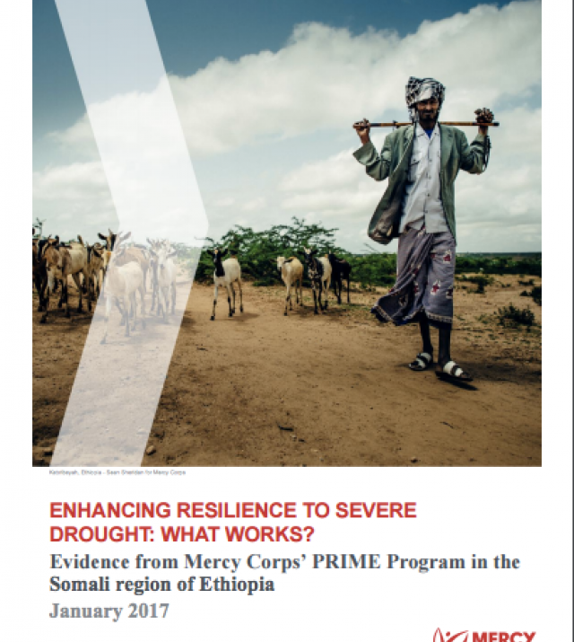 Download Resource: Enhancing Resilience to Severe Droughts: What Works?