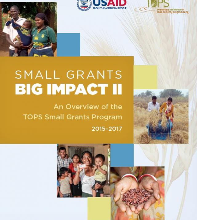 Download Resource: Small Grants Big Impact II: An Overview of the Small Grants Program, 2015-2017
