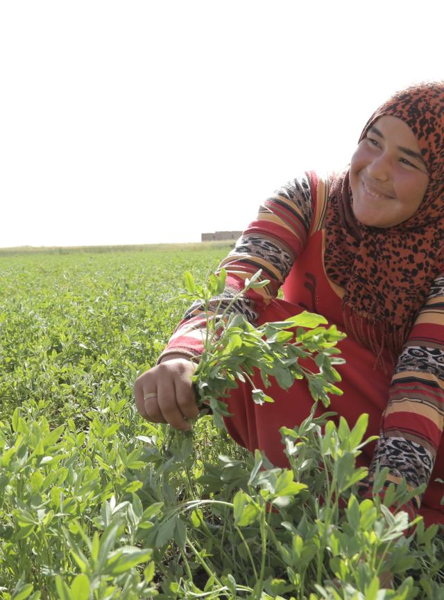 Dalia Yousri, a young woman, supports her family through agriculture in Egypt