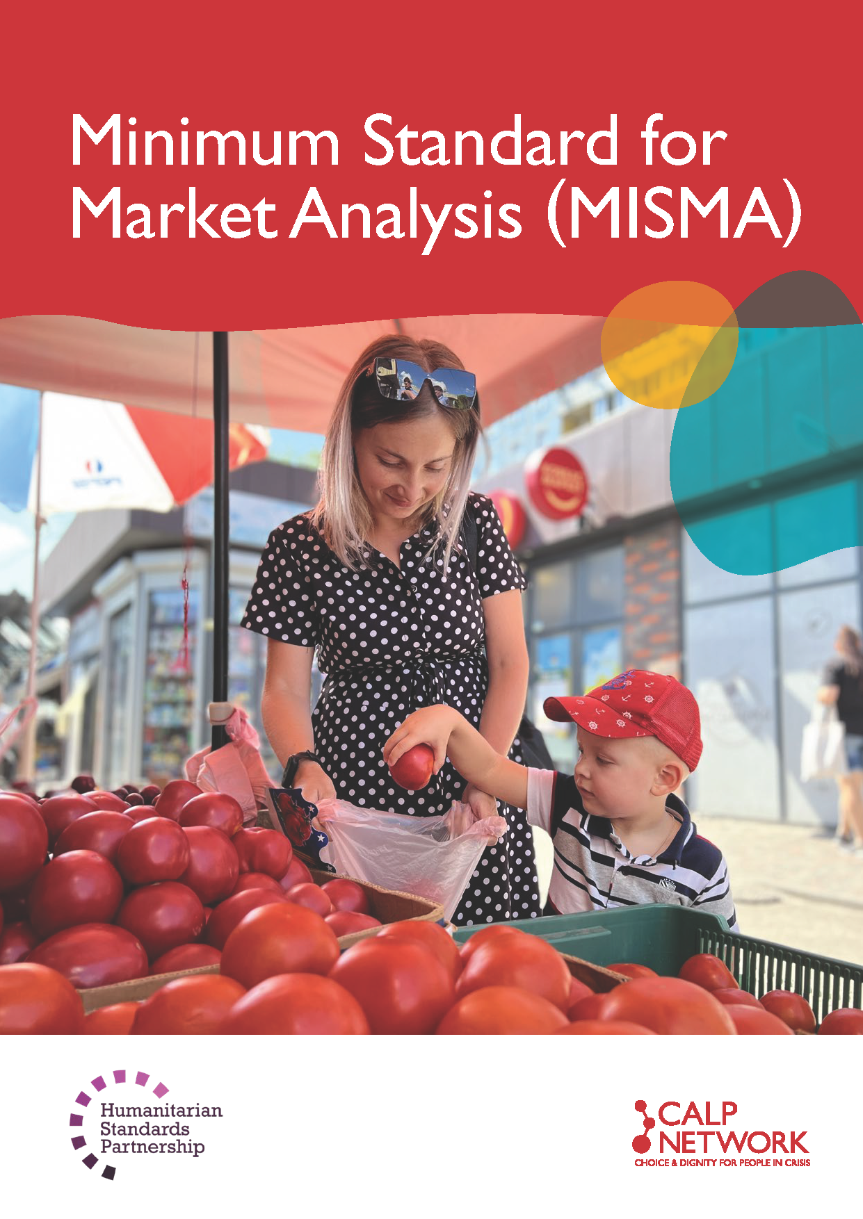 Cover page for Minimum Standard for Market Analysis