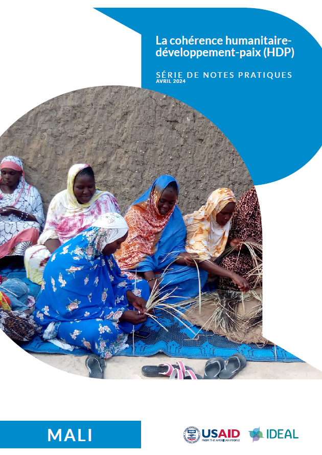Screenshot of the cover of the Mali Practice Note, including the USAID and IDEAL logos and a photograph of 5 women.