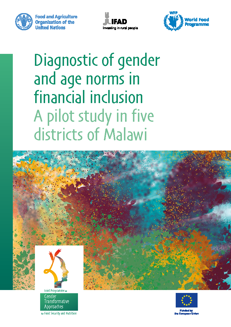 Cover page for Diagnostic of Gender and Age Norms in Financial Inclusion: A Pilot Study in Five Districts of Malawi
