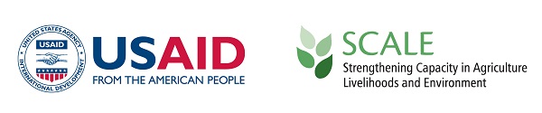 USAID and SCALE logos