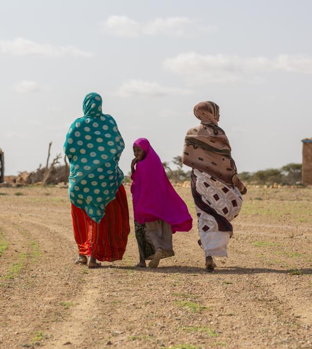 Three persons walking towards a village