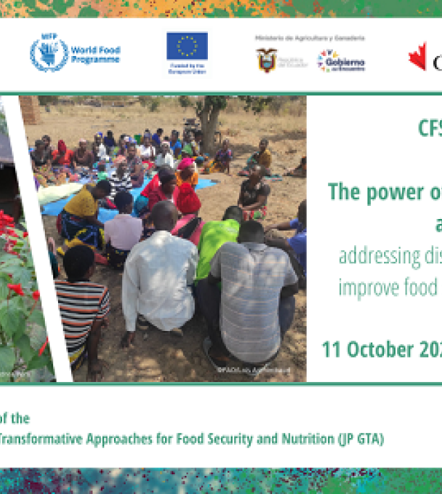 Promotion flyer for the power of gender transformative approaches: addressing discriminatory social norms to improve food security and nutrition for all webinar