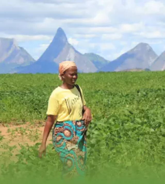 Promotional graphic for the Into, Through and Beyond USAID Programs: Lessons from the Women's Empowerment in Agriculture Index event featuring two women standing in a field with mountains in the background.