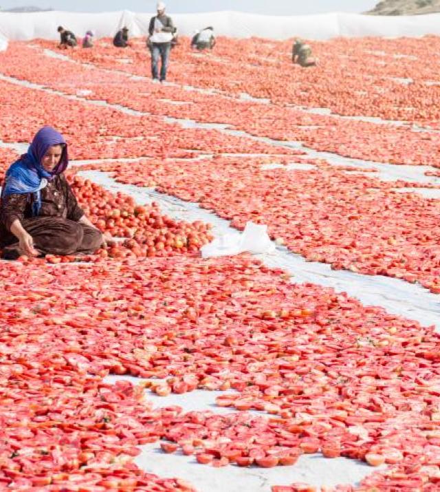 A woman sits and works in the production of sun-dried tomatoes in Turkey.