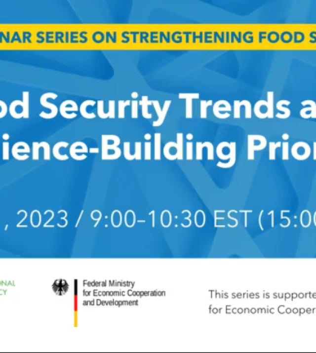 Promotional Graphic for Food Security Trends and Resilience-Building Priorities
