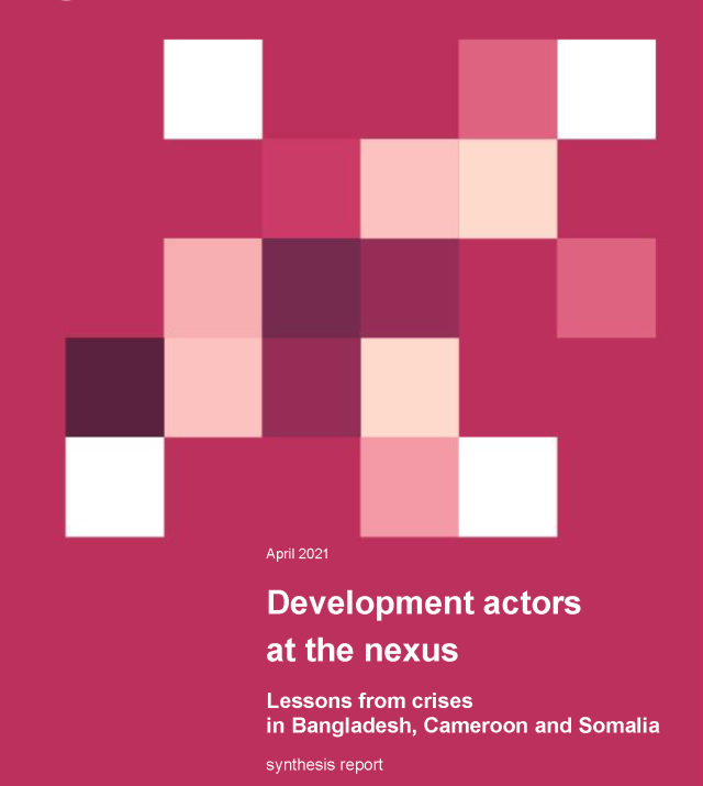 Cover page for Development Actors at the Nexus
