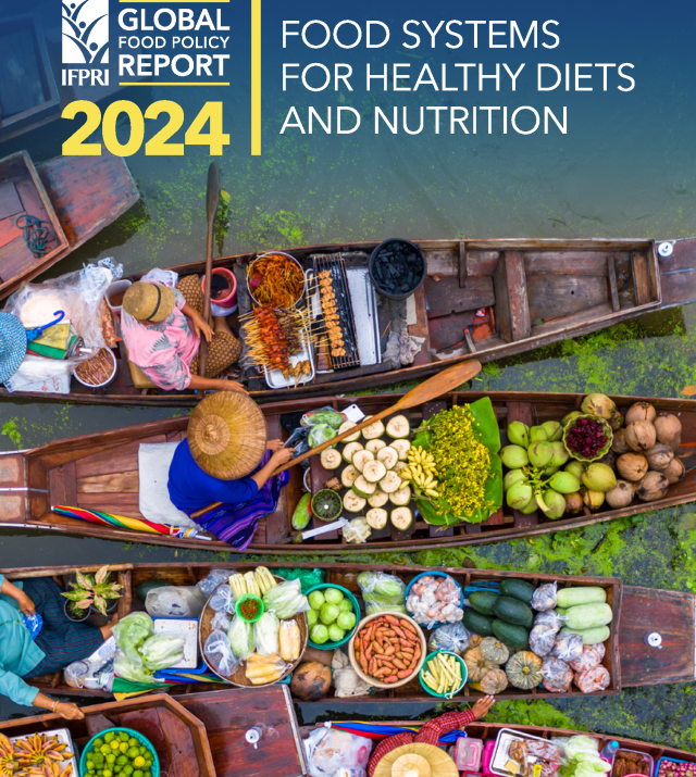 Cover page for Food Systems for Healthy Diets and Nutrition Global Food Policy Report 2024