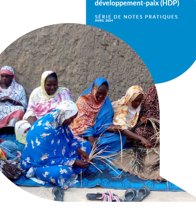 Screenshot of the cover of the Mali Practice Note, including the USAID and IDEAL logos and a photograph of 5 women.