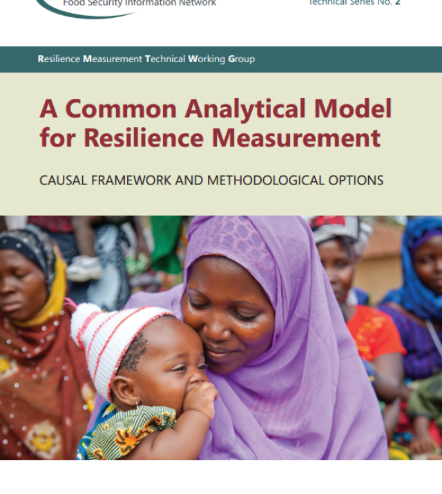 Download Resource: A Common Analytical Model for Resilience Measurement